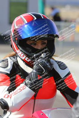 media/Feb-23-2024-2WTD (Fri) [[a719da276a]]/1-Around the Pits/